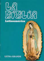 B. BIBLIA LATINOAMERICA GUADALUPE LETRA GRANDE RUSTICA (SIN INDICE)199588084