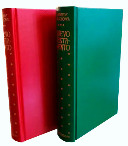 NUEVO TESTAMENTO (CON COMENTARIOS Y NOTAS EXEGETICAS)983012429