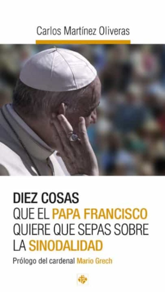 D-10 COSAS QUE EL PAPA FRANCISCO QUIERE QUE SEPAS SOBRE LA SINODALIDAD1404308586