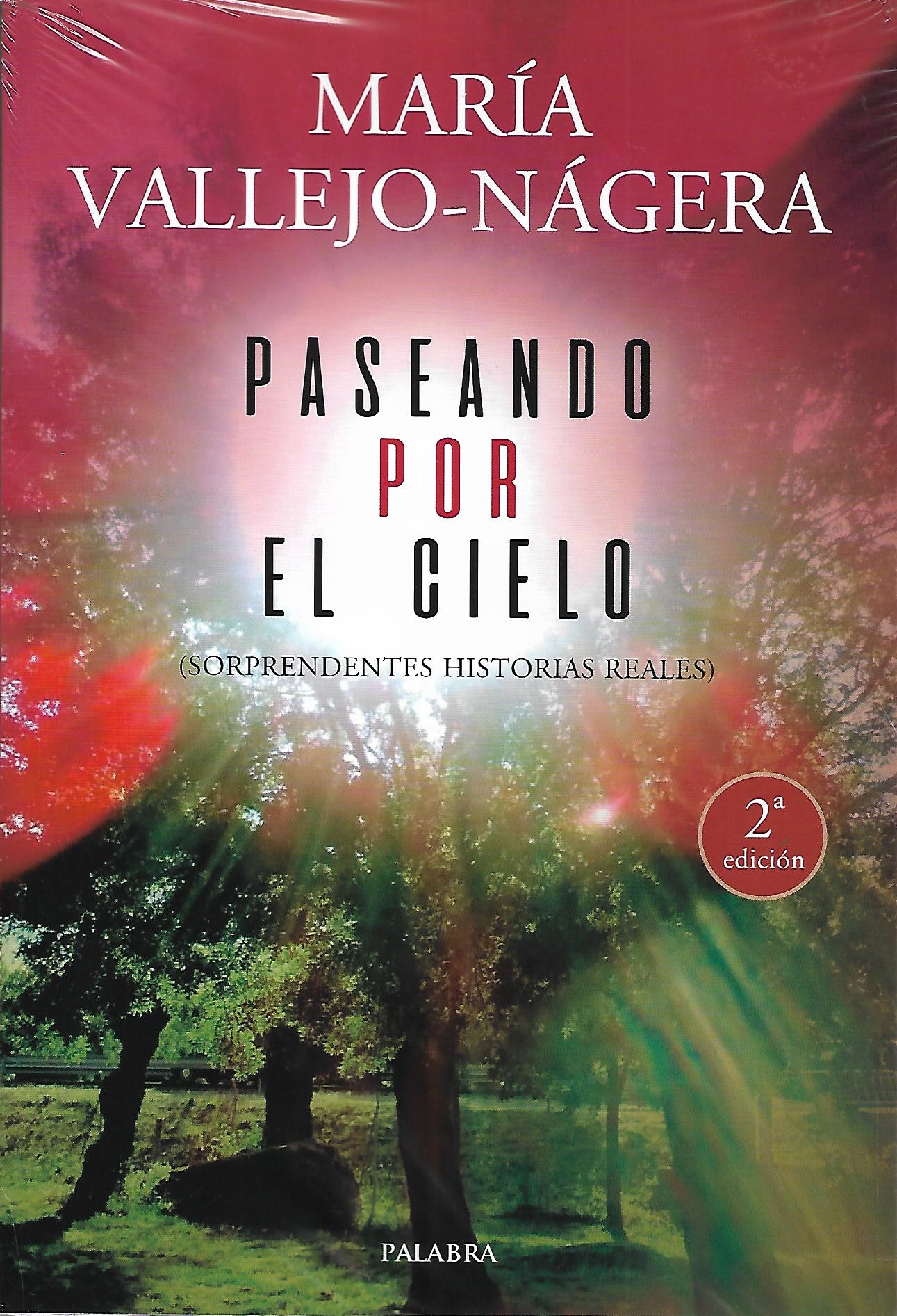 PASEANDO POR EL CIELO. SORPRENDENTES HISTORIAS REALES1950400887